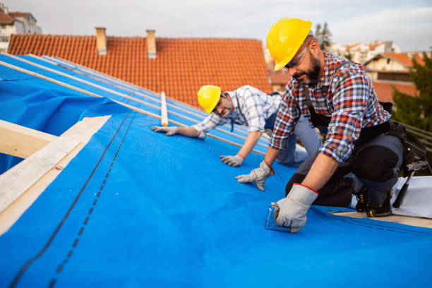 Best Roof Waterproofing Services  in Maurice, LA