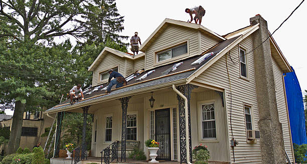 Best Roof Replacement Cost  in Maurice, LA