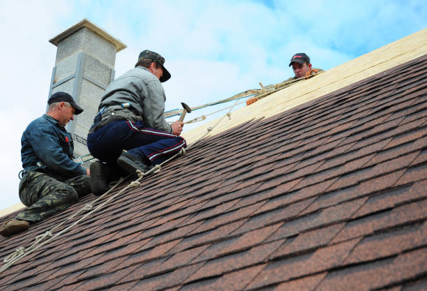 Best Storm Damage Roof Repair  in Maurice, LA